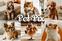 Pet Pix Lightroom Presets - Elevate your pet photography with stunning one-click edits.