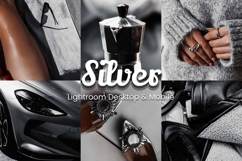 30 Silver Lightroom Collection Product Image 1