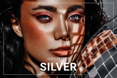 30 Silver LUT Collection Product Image 1