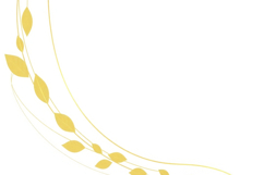 Yellow Leaves With White Background Product Image 1