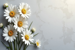 Common Daisy Background Product Image 1