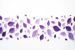 Purple Leaf White Background Product Image 1