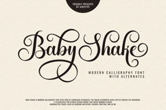 Baby Shake - Luxury Calligraphy Font with Swirl Alternate Product Image 1