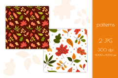 Autumn Leaves Clipart PNG | SVG Fall Clip Art Bundle Foliage Product Image 3