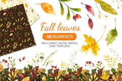 Fall Clipart, Patterns, Frames with Autumn Leaves Product Image 1