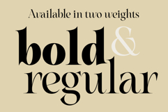 Nouvel Amour - A Modern Luxury Serif Product Image 2