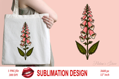 Wildflowers clipart | Vintage foxglove flower field graphics Product Image 2