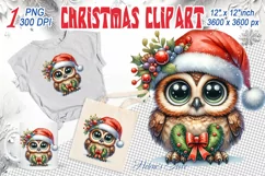 Christmas owl clipart sublimation PNG | Retro funny animal Product Image 2