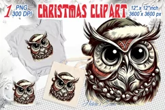 Christmas owl clipart sublimation PNG | Retro funny animal Product Image 1