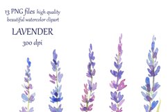 watercolor hand painted Lavender Clipart Product Image 2