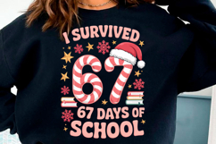 I Survived 67 Days of School Christmas Product Image 2