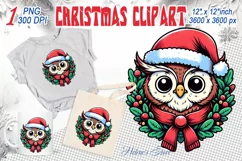 Christmas owl clipart sublimation PNG | Retro funny animal Product Image 1