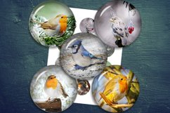 Vintage Birds,2",1.5",1.25",1",35,30,25,20,18,16,14,12mm Product Image 1