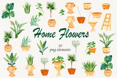 House plants, Boho home decor watercolor clipart Product Image 1