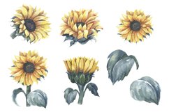 Watercolor Sunflowers Collection. Product Image 2