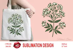 Baby's breath flower clipart | Vintage Summer flower graphic Product Image 2