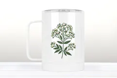 Baby's breath flower clipart | Vintage Summer flower graphic Product Image 3