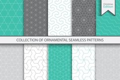 Ornamental color seamless patterns Product Image 1