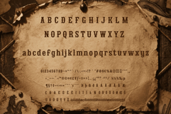Sparkwolf: A Rugged Wanted Poster Font Product Image 2