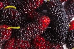 Mulberry berries Product Image 1