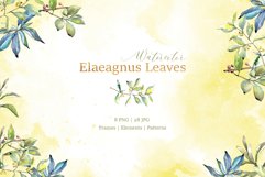 Elaeagnus leaves Watercolor png Product Image 1