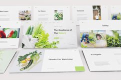Vegetables Keynote Template Product Image 4