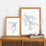 Sea buckthorn Berries SVG &amp; PNG clipart botanical Berries Product Image 2