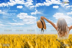 Ukraine field, Field overlay, Photoshop overlay Product Image 2