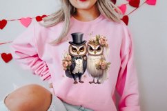 Couple Owl Valentines Day Clipart Bundle, Couple Owl Clipart Product Image 3