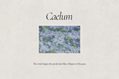 Caelum - Botanical Backgrounds Product Image 2