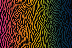 Rainbow Gradient Zebra Print Pattern Background Product Image 1