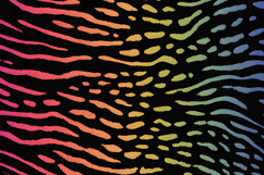 Rainbow Animal Stripe Pattern Colorful Background Product Image 1