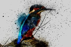 BIRDS Pack of 72 Printable Images Graphics Product Image 2