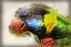 Collection of 12 Images 4k of Bird Portraits PACK 08 300 dpi Product Image 3