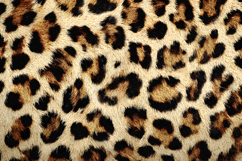 Shimmering Purple Watercolor Wash - Abstract Digital Paper Product Image 1