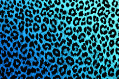 Black &amp; Blue Ombre Leopard Print - Gradient Pattern Product Image 1