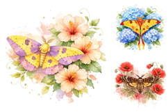 Watercolor Floral Moth Clipart Bundle Product Image 2