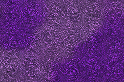 Purple Stingray Shagreen Faux Leather Ombre Texture Product Image 1