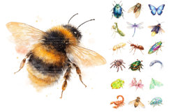 Whimsical Watercolor Bugs Clipart Pack Product Image 3