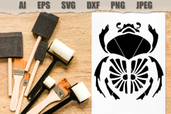Stencil Beetle Insect Product Image 2