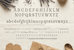 Beadcharm: A Weird and Wonderful Font with Circle Serif Product Image 2