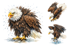 Watercolor Bald Eagle Clipart Bundle Product Image 2