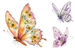 Watercolor Floral Butterflies PNG, Botanical Garden Clipart Product Image 2