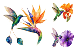 Watercolor Floral Hummingbird Clipart Bundle, Floral Gold Product Image 2