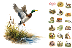 105 Safari Animal Watercolor Sublimation Clipart Bundle Product Image 2
