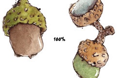 Acorns &amp; Leaves Seamless Watercolour Patterns Product Image 2