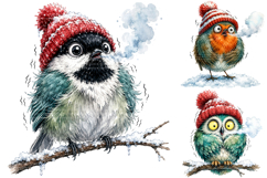 Funny Winter Birds Clipart Bundle, Watercolor Christmas PNG Product Image 2
