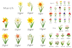 134 Watercolor Birth Month Flowers PNG Bundle Product Image 2