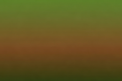 Gradient background transitioning from green to brown Product Image 1