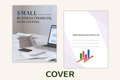 Business Financial Bookkeeping Product Image 2